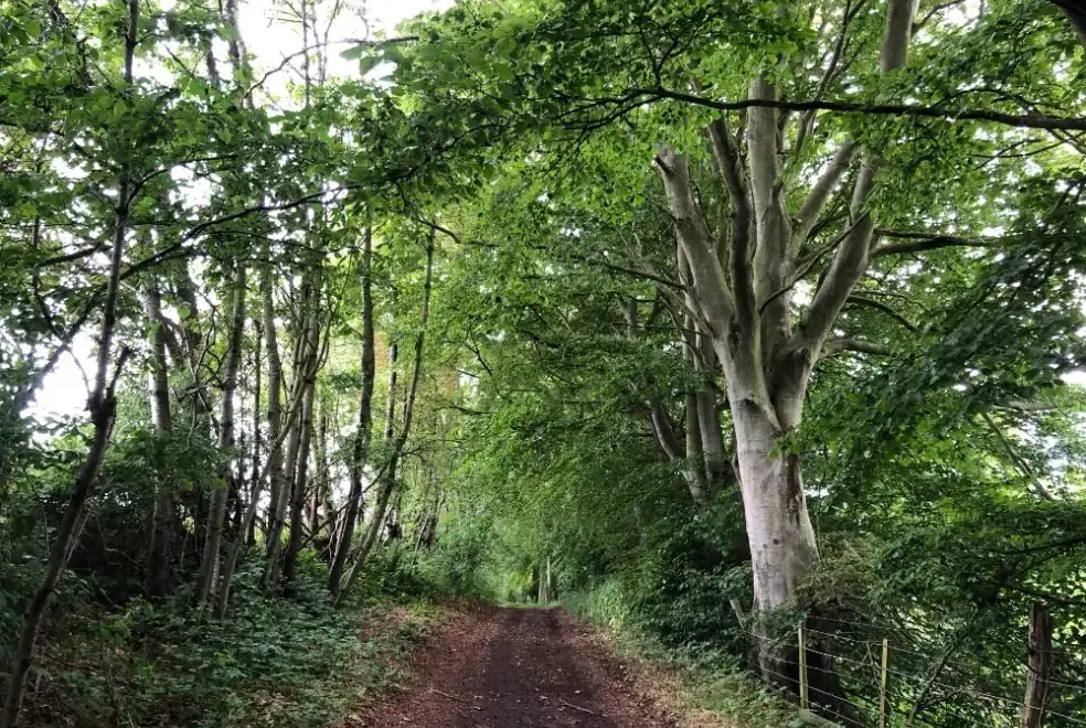 Good walks near Garden Bank
