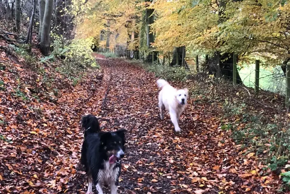 Good walks near Garden Bank