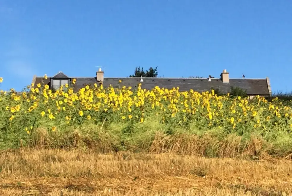 Countryside near Garden Bank