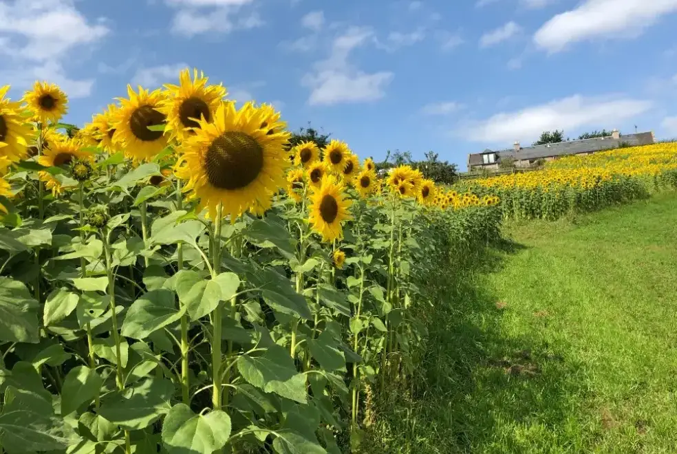 Countryside views at Garden Bank