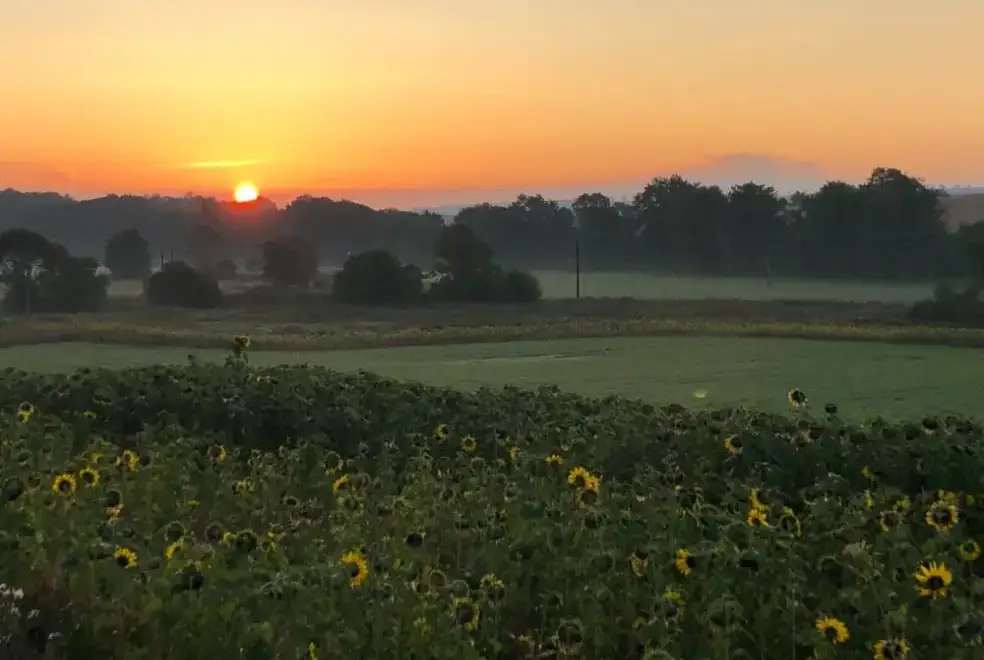 Countryside views at Garden Bank