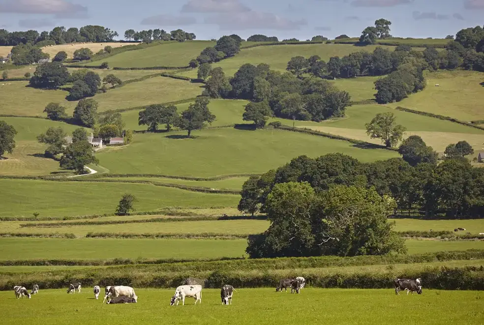 Countryside views at Garden Cottage at Twistgates Farm Cottages