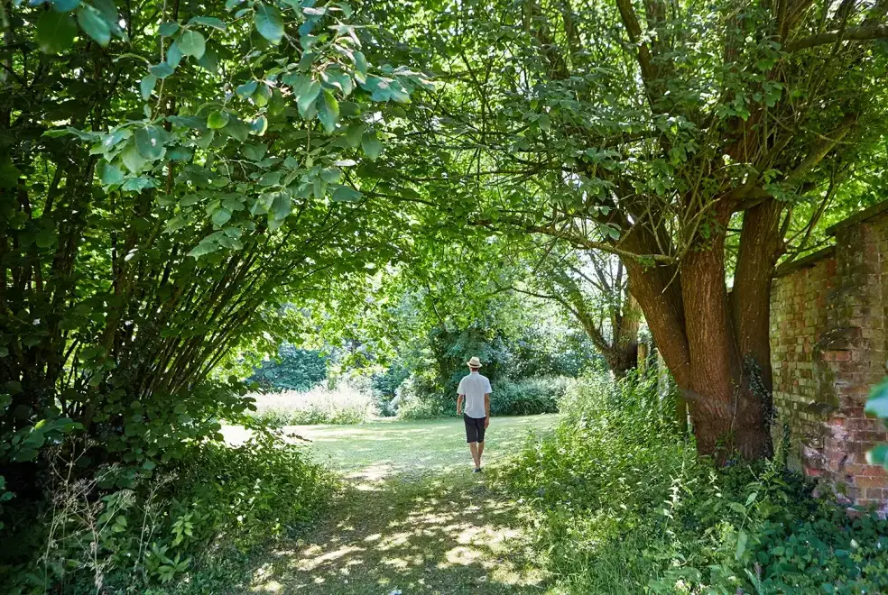 Garden at Gardeners Cottage