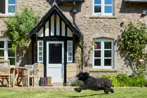 Dogs welcome at Gardeners Cottage, Herefordshire