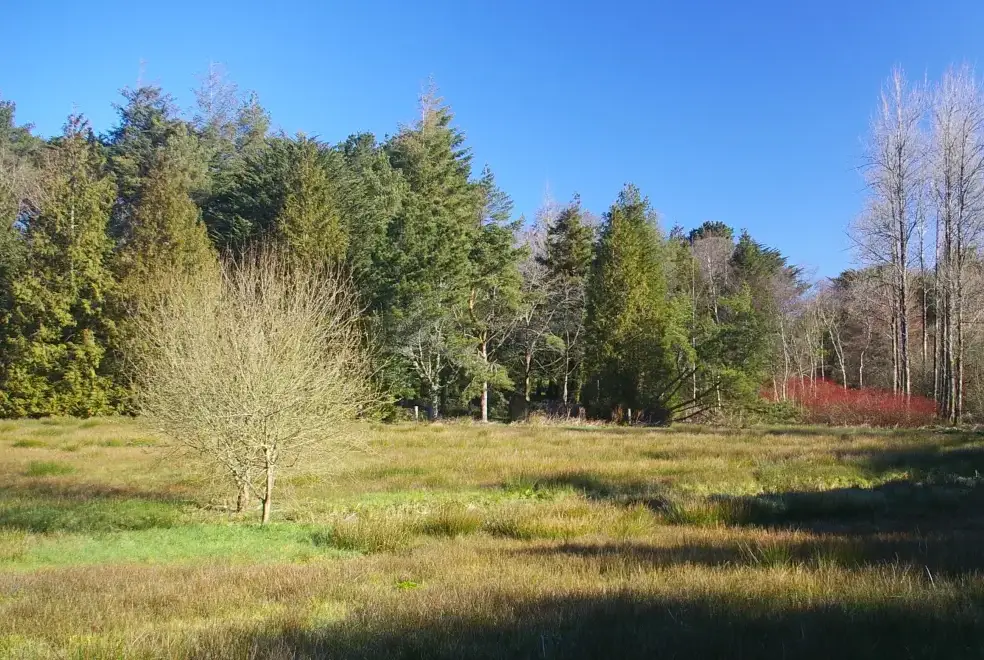 Countryside views at Gatehouse West, Colmer Estate