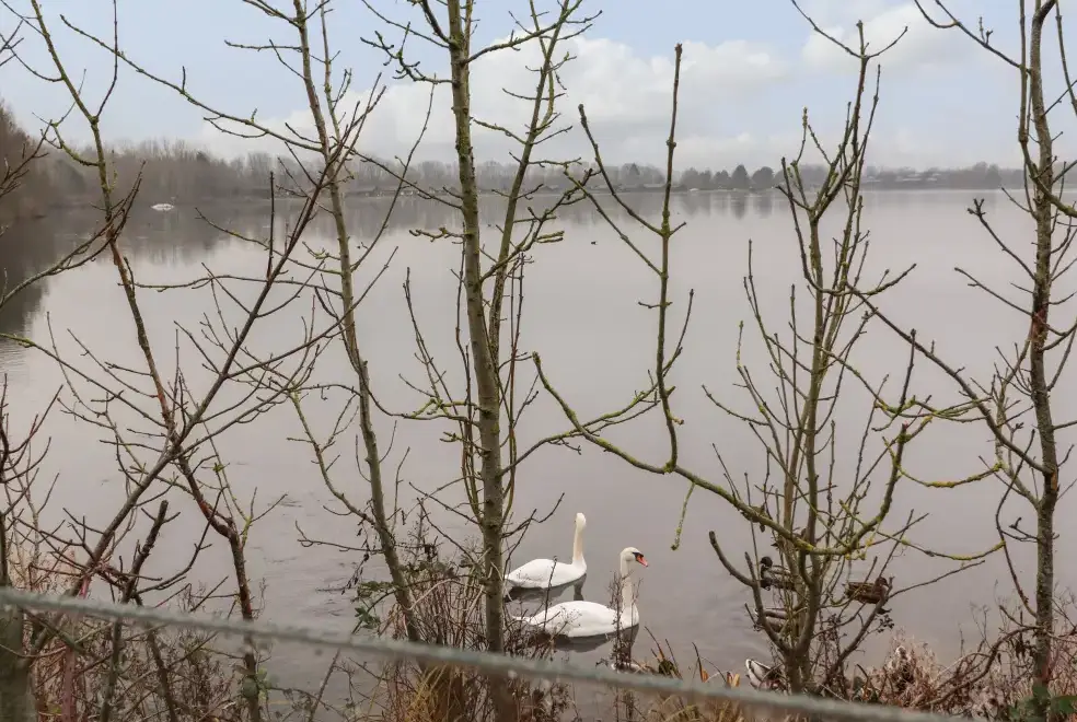 Lake view at Gerrida Lodge