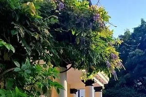 Surrounding area near Glansevin Mansion