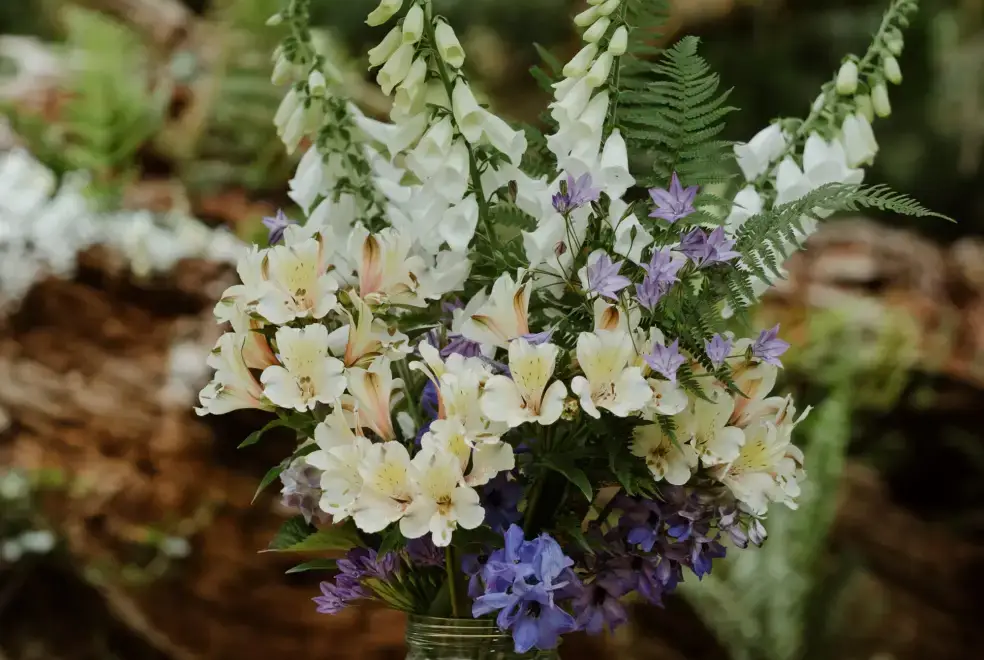 Garden at Glansevin Mansion