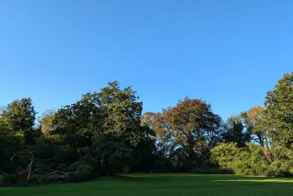 Countryside views at Glansevin Mansion