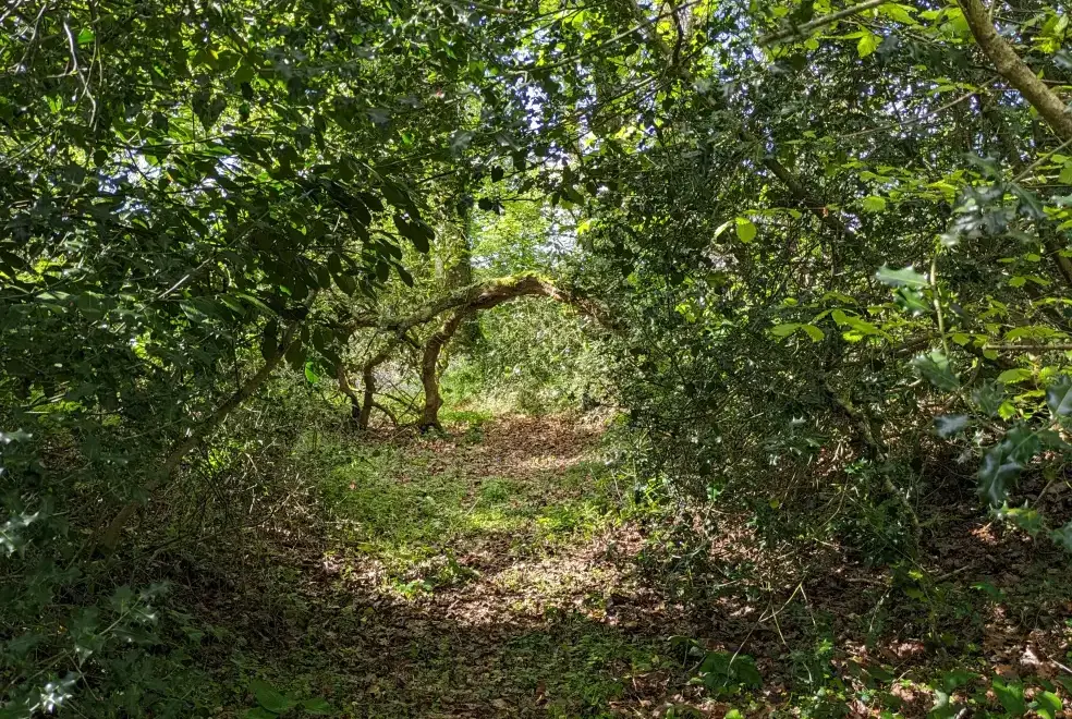 Countryside near Glansevin Mansion