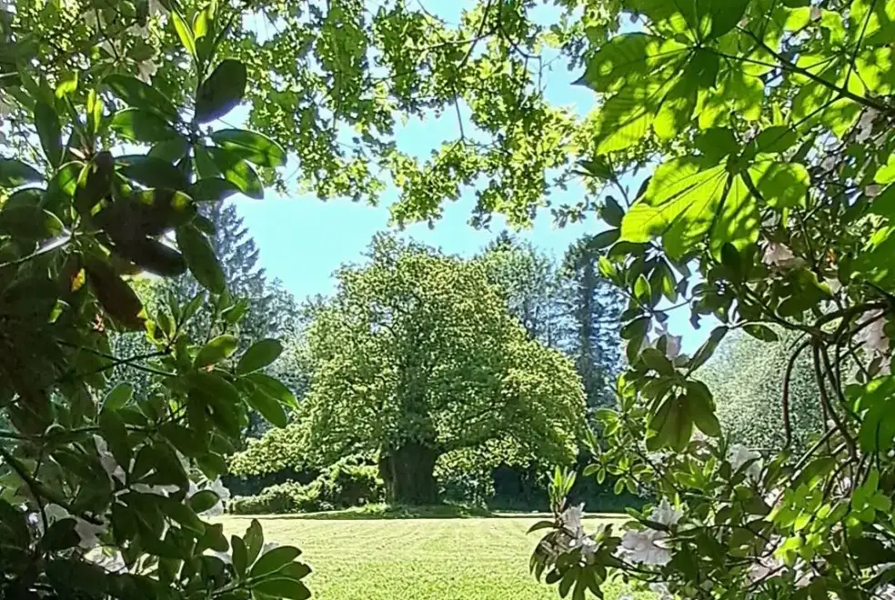 Countryside views at Glansevin Mansion