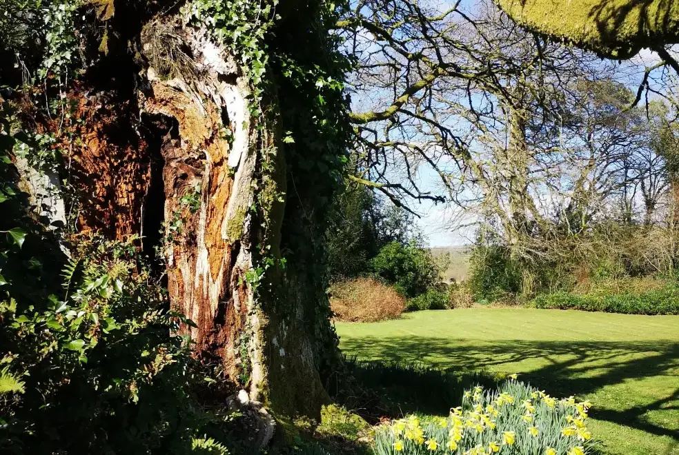 Garden at Glansevin Mansion