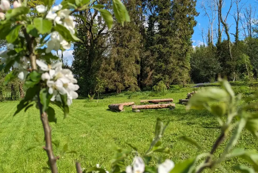 Garden at Glansevin Mansion