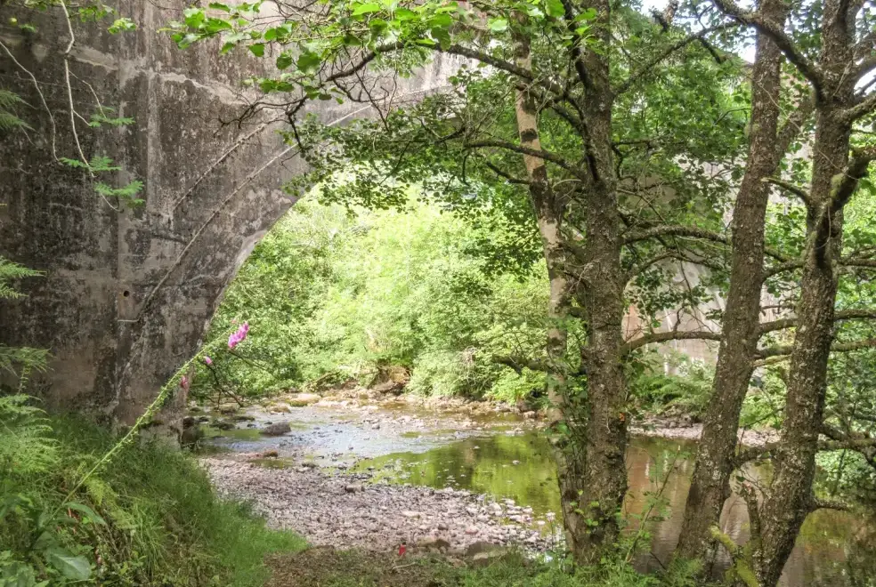 Countryside views at Glen Euchar Holiday House