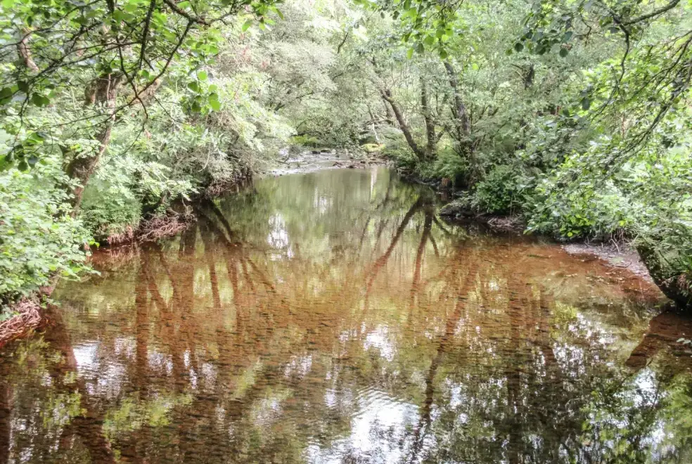 Countryside near Glen Euchar Holiday House