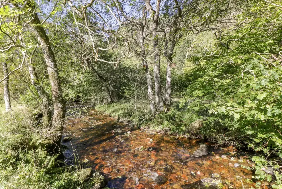 Countryside views at Glen Euchar Holiday House