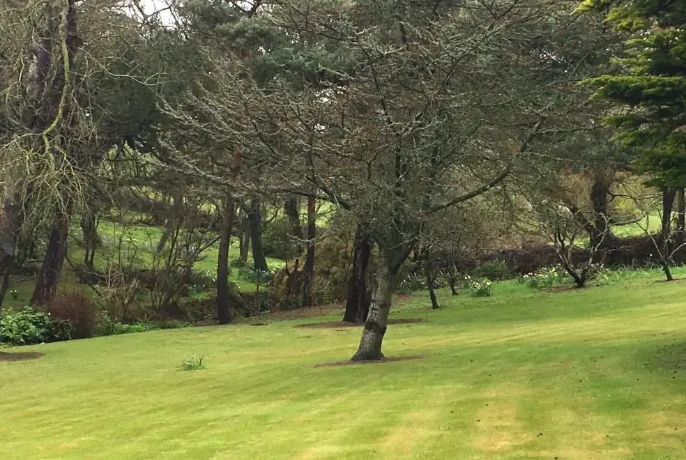 Countryside views at Glenacres