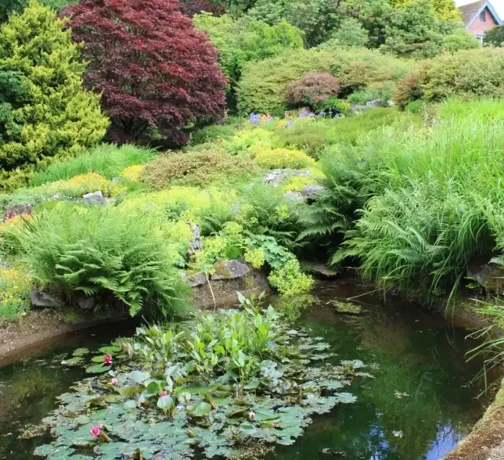 Garden at Glingerbank