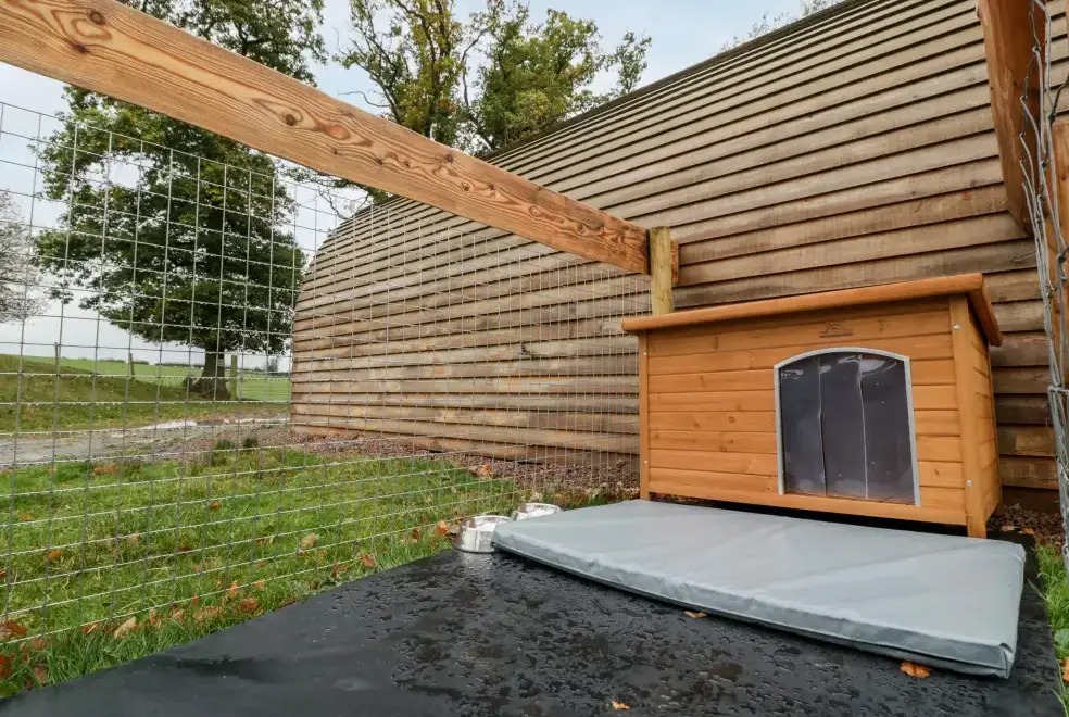 Dogs welcome at Goose Pod