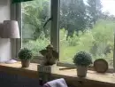 Countryside views at Grant Cottage - thumbnail photo