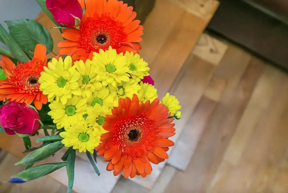 Surrounding area near Gray Manes