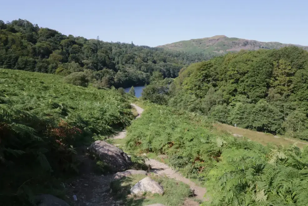 Countryside views at Green Stile Cottage