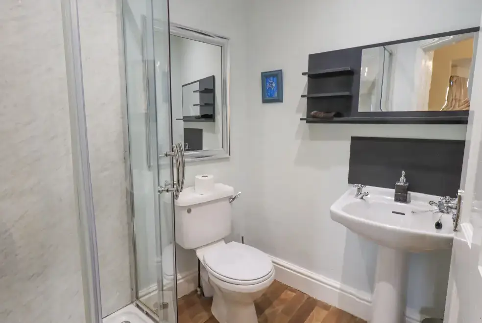 Shower room at Greta Mill