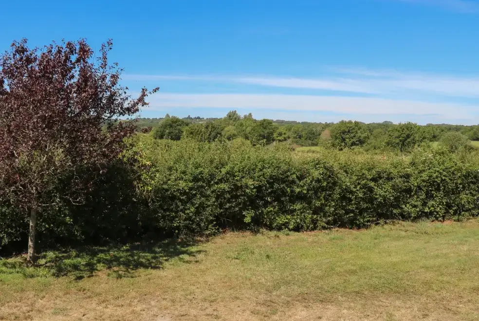 Countryside views at Groomes Country House