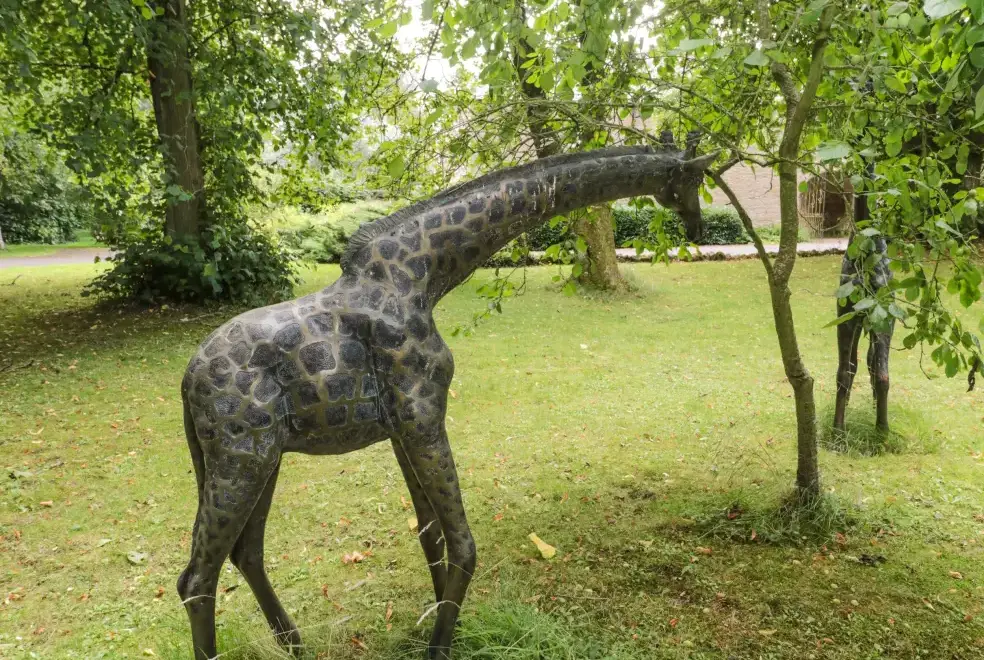 Garden at Grooms Cottage