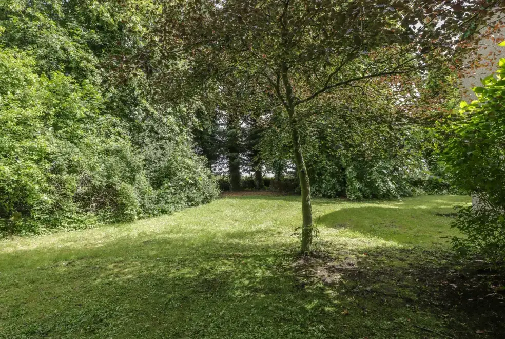 Garden at Grooms Cottage