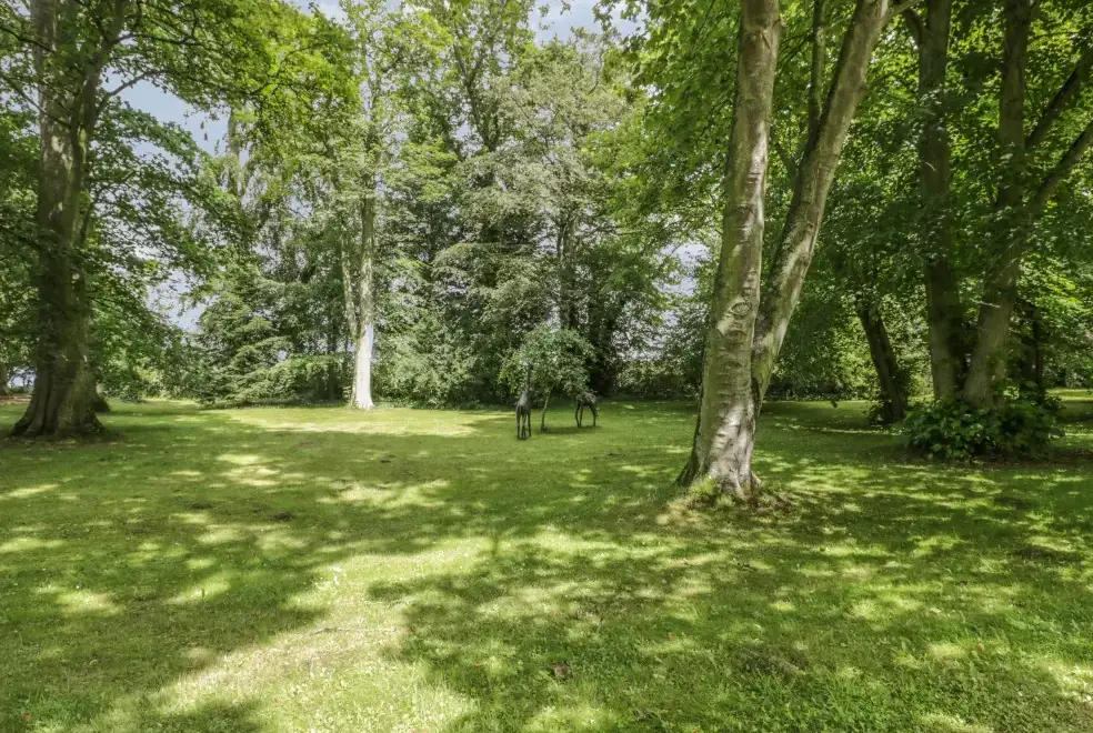 Garden at Grooms Cottage