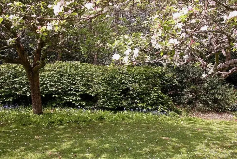 Garden at Gun Hill Cottage