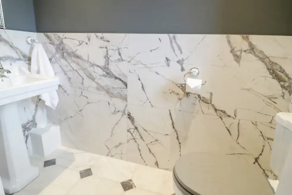 Loo at Gwern Borter Manor