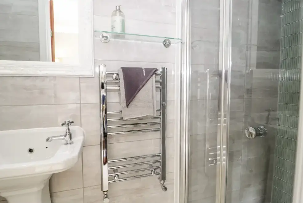 Shower room at Gwern Borter Manor