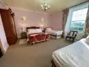 Romantic double bedroom at Hafod Grove Mansion House - thumbnail photo