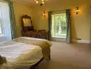 Romantic double bedroom at Hafod Grove Mansion House - thumbnail photo