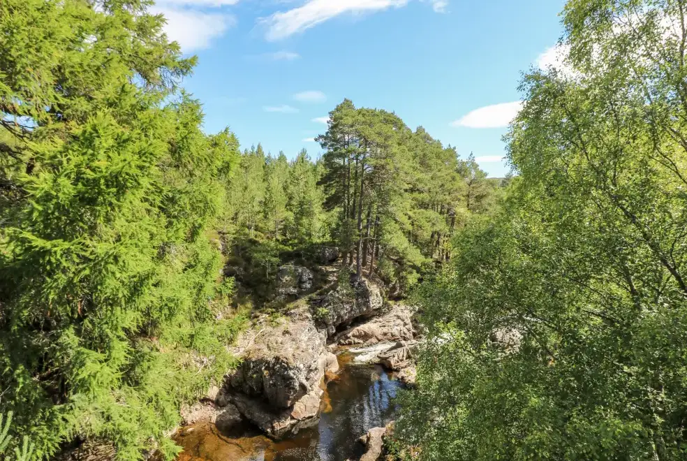 Countryside views at Hazel