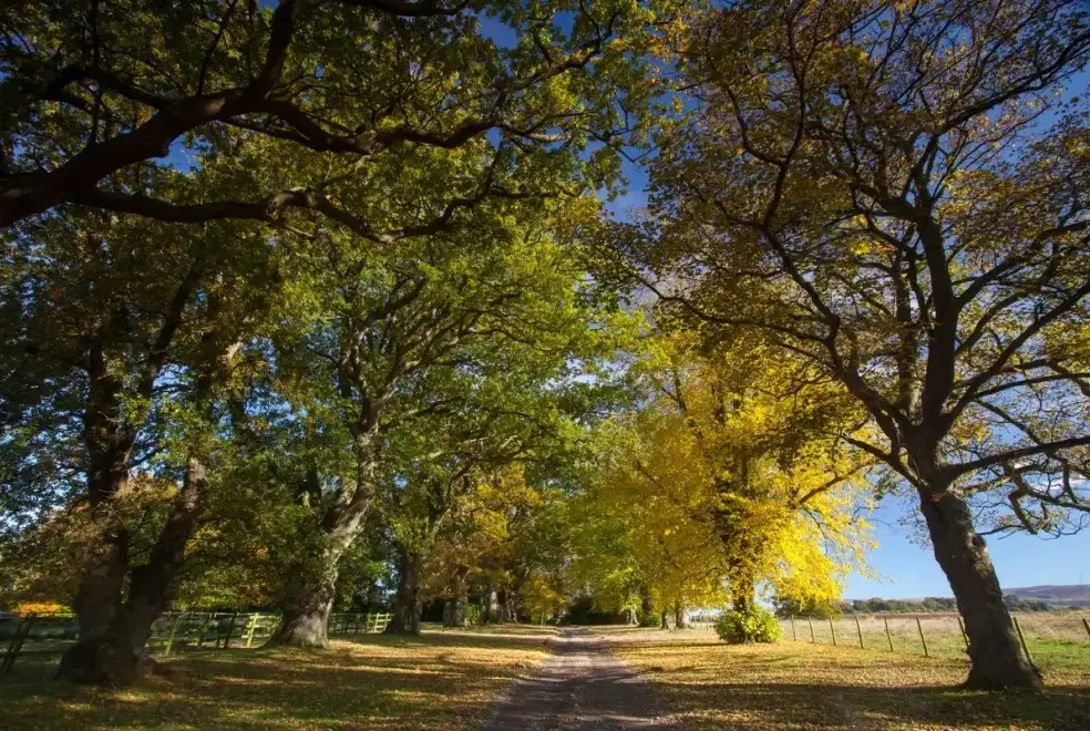 Countryside near Heads Nook Hall Cottage