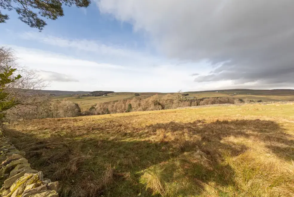 Countryside views at Heatherbrae