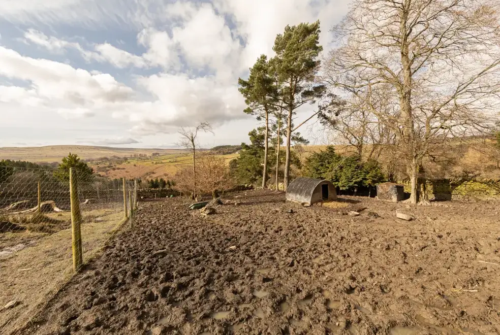 Countryside views at Heatherbrae