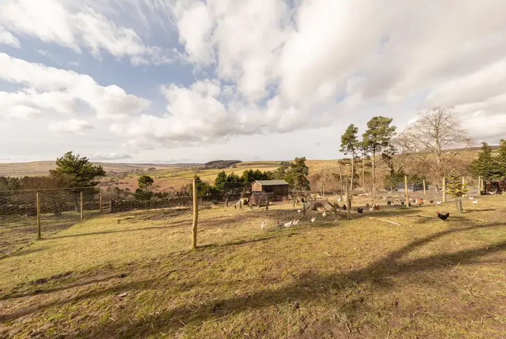 Countryside views at Heatherbrae