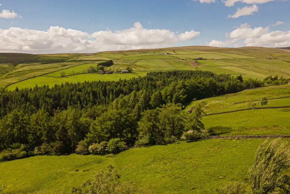 Countryside views at Heatherbrae