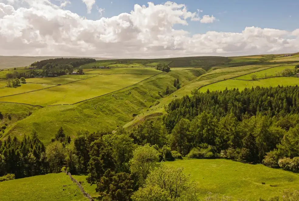 Countryside views at Heatherbrae