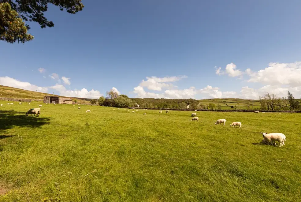 Countryside views at Heatherbrae