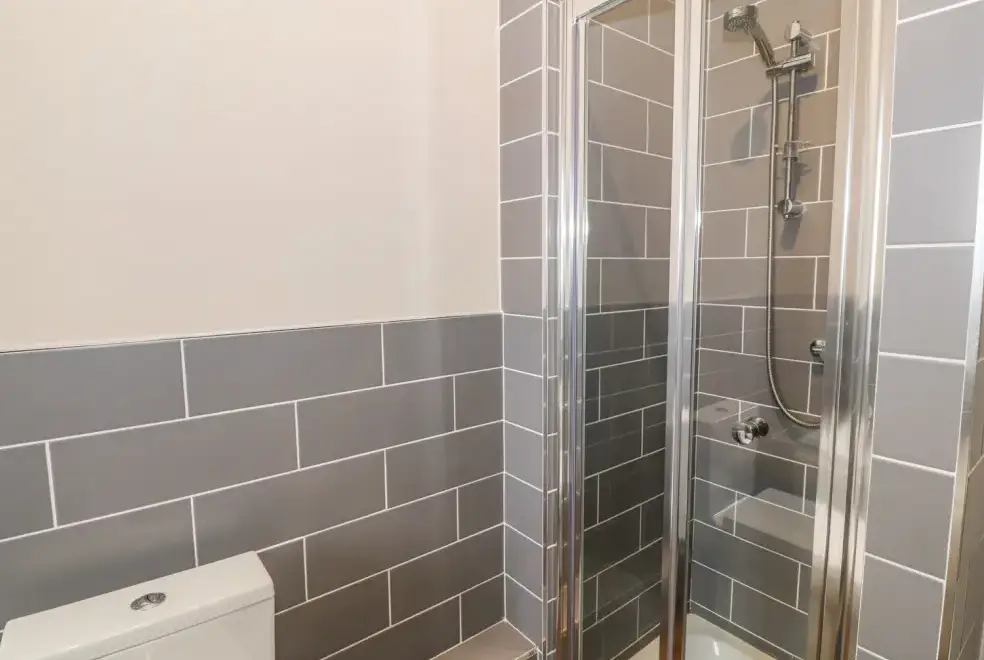 Shower room at Hen Blas