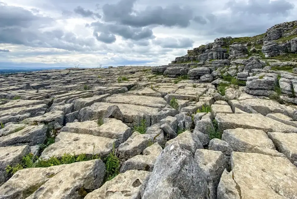 Countryside near Herriots House