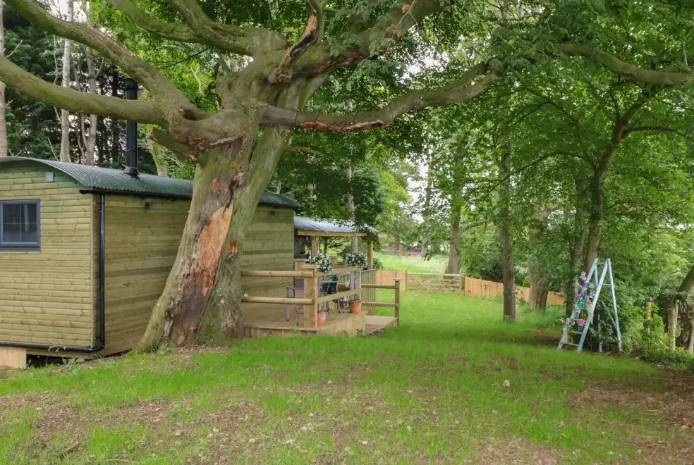 Countryside near High Rigg Shepherd's Hideaway