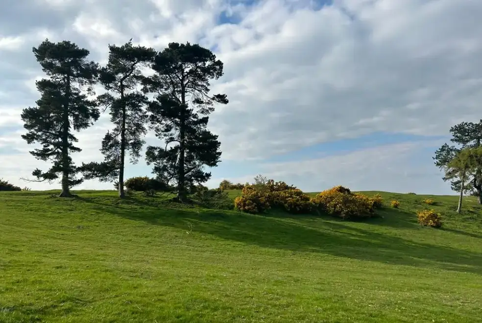 Countryside views at Hillside Croft