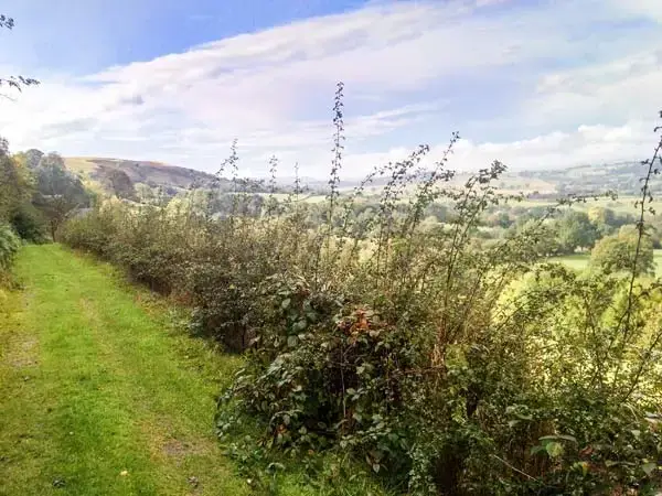 Countryside views at Hiraeth Rural Retreat