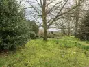 Garden at Hoath House - thumbnail photo